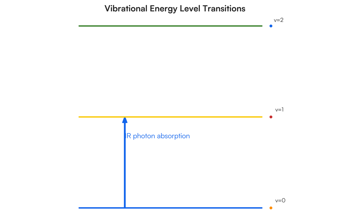 With the help of a suitable diagram explain the absorption of radiation c..