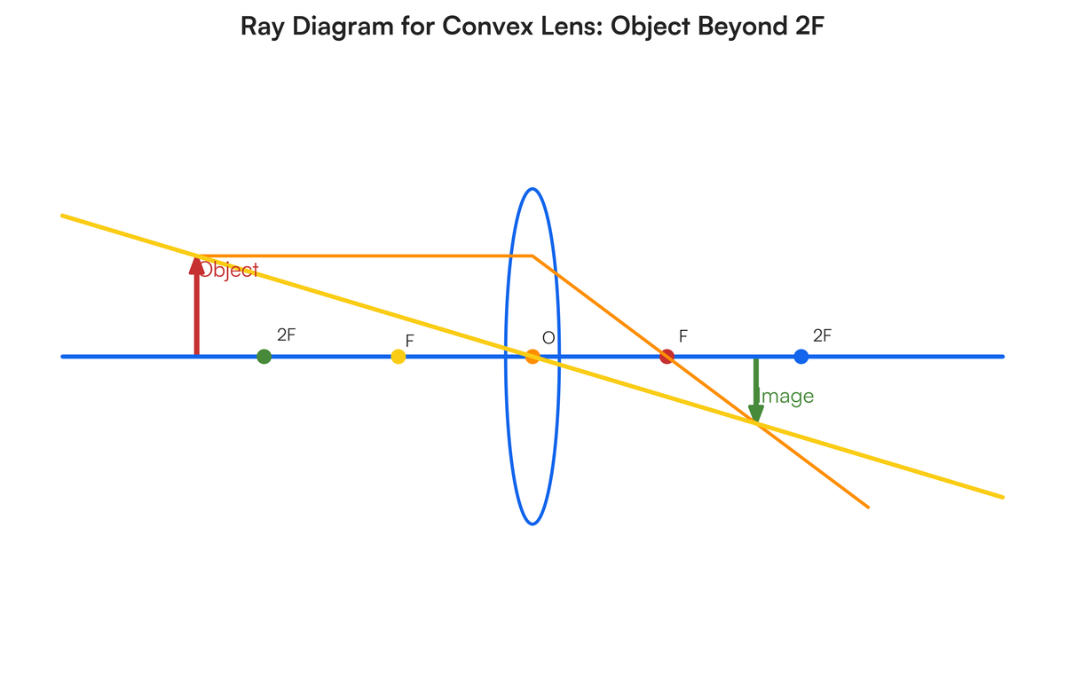 Instructions for your diagram: Draw the principal axis and the convex le..
