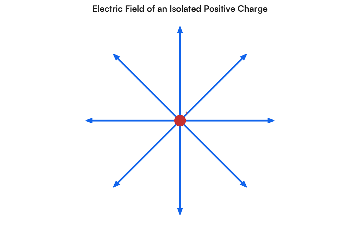 Activity Draw The Following Electric Patterns A An Isolated Positiv activity-draw-the-following-electric-patterns-a-an-isolated-positiv