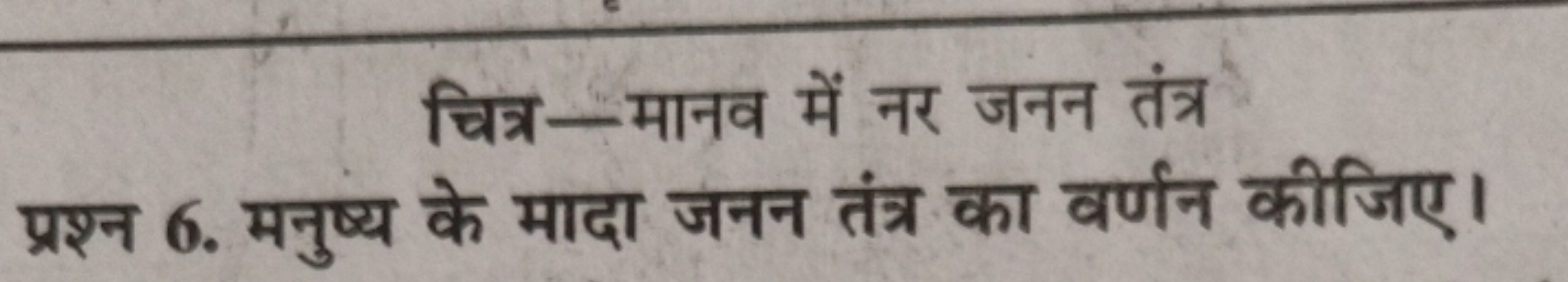 चित्र-मानव में नर जनन तंत्र प्रश्न 6. मनुष्य के मादा जनन तंत्र का वर्ण