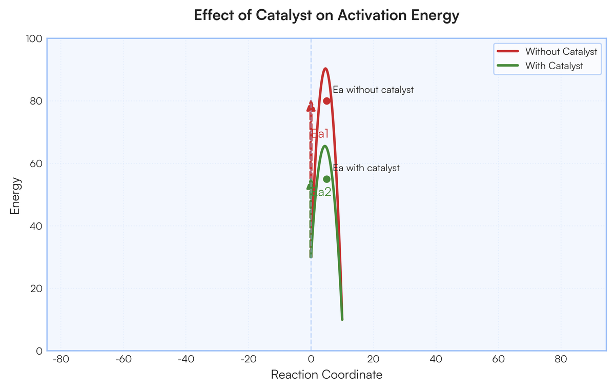 Q34. What is the effect of catalyst on activation energy? Explain with th..