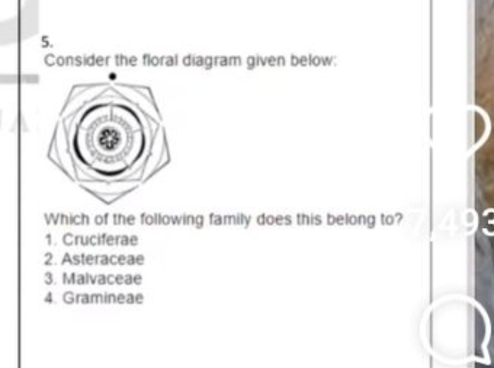 Consider the floral diagram given below: Which of the following family