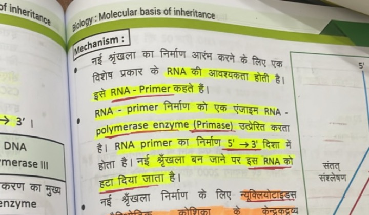 giology: Molecular basis of inheritance
Mechanism:
नई श्रृंखला का निर्