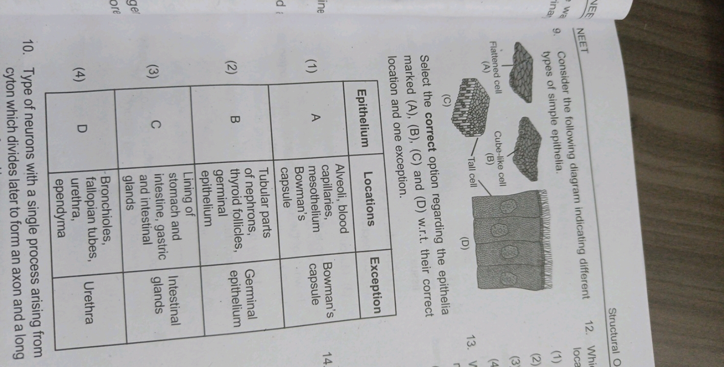 Structural O
NEET
9. Consider the following diagram indicating differe