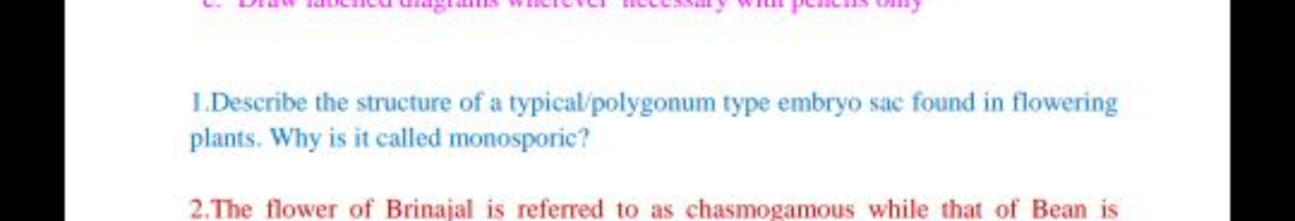 1.Describe the structure of a typical/polygonum type embryo sac found 