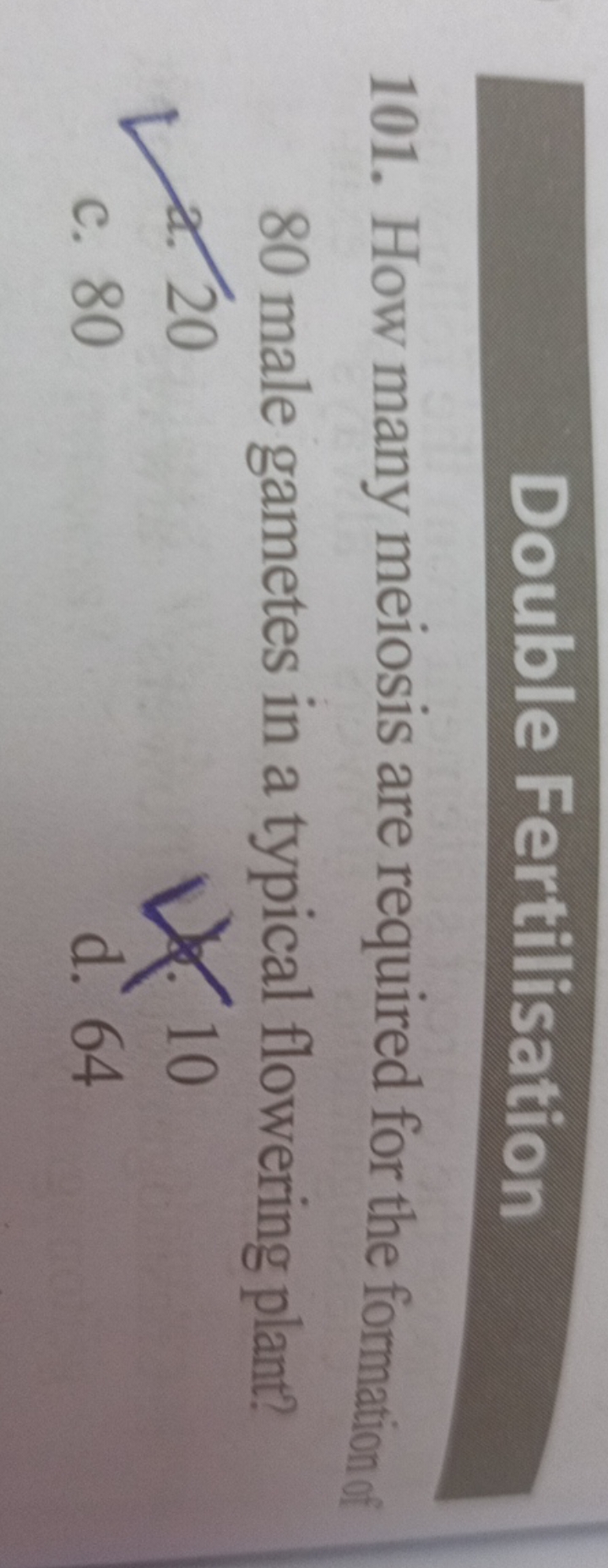 Double Fertilisation
101. How many meiosis are required for the format