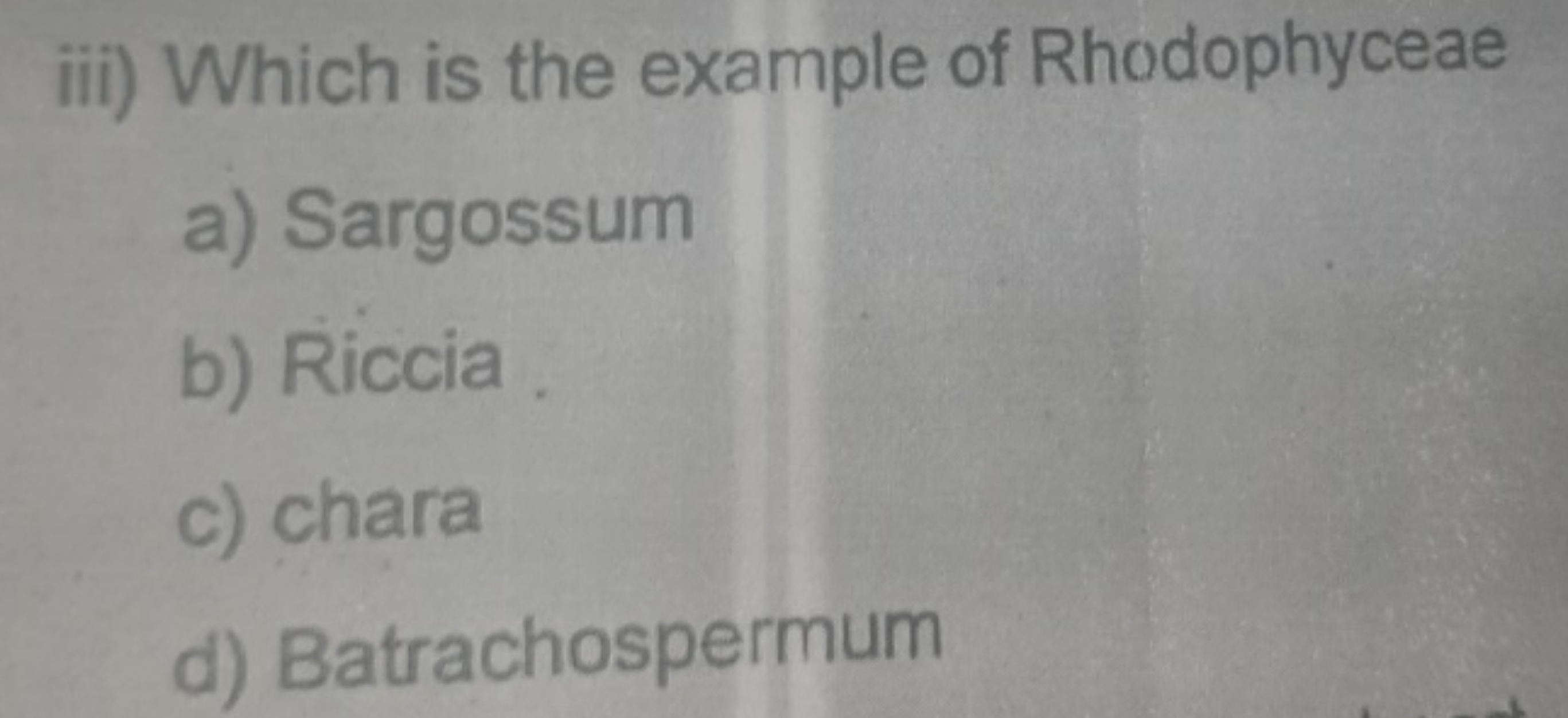  Which is the example of Rhodophyceae