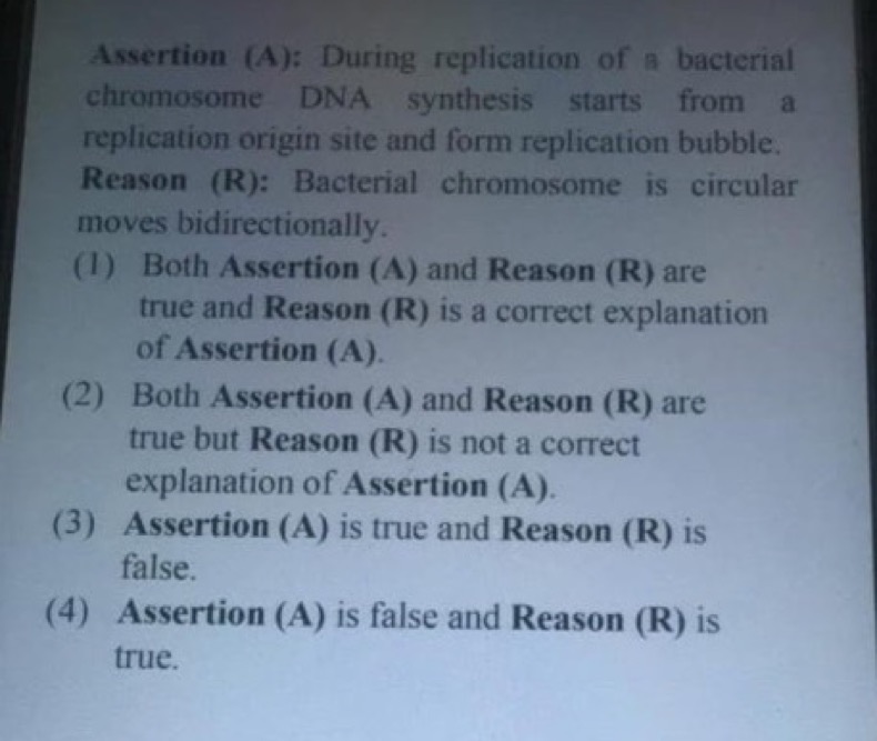 Assertion (A): During replication of a bacterial chromosome DNA synthe