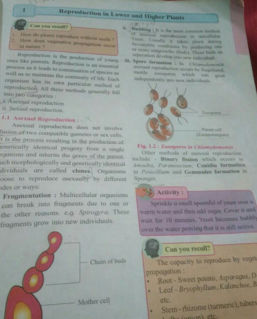 1
Reproduction in Lower and Higher Plants
Can you recall?
1. How do pl