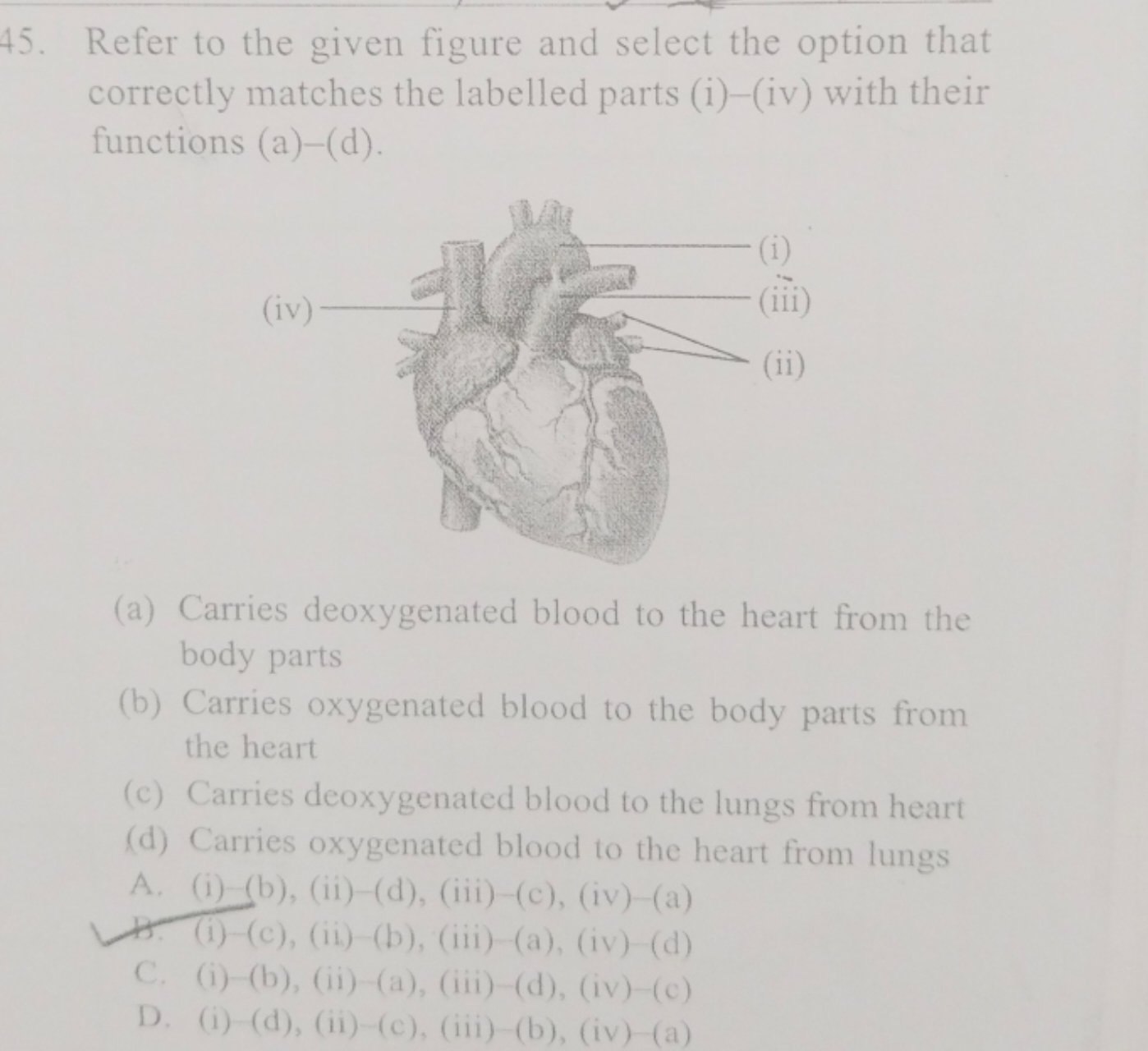 Refer to the given figure and select the option that correctly matches