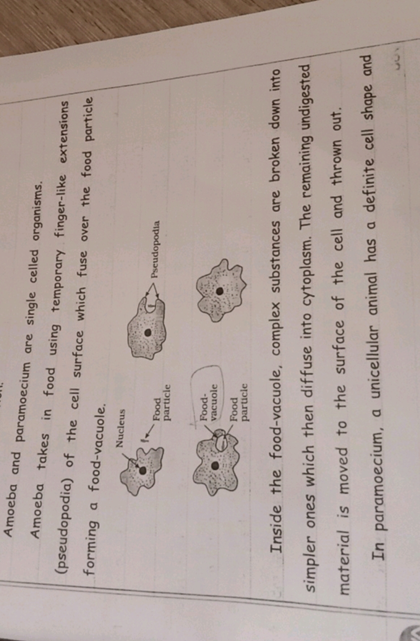 Amoeba and paramoecium are single celled organisms.
Amoeba takes in fo