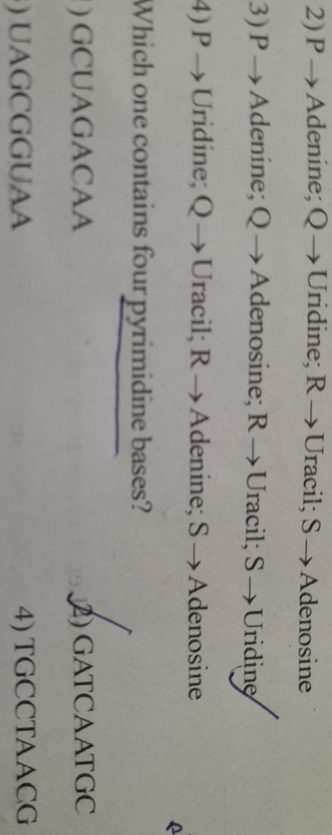 2) P→ Adenine; Q→ Uridine; R→ Uracil; S→ Adenosine
3) P→ Adenine; Q→ A