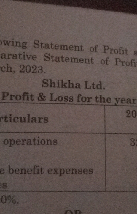 wing Statement of Profit arative Statement of Profi ch, 2023 .
Shikha 