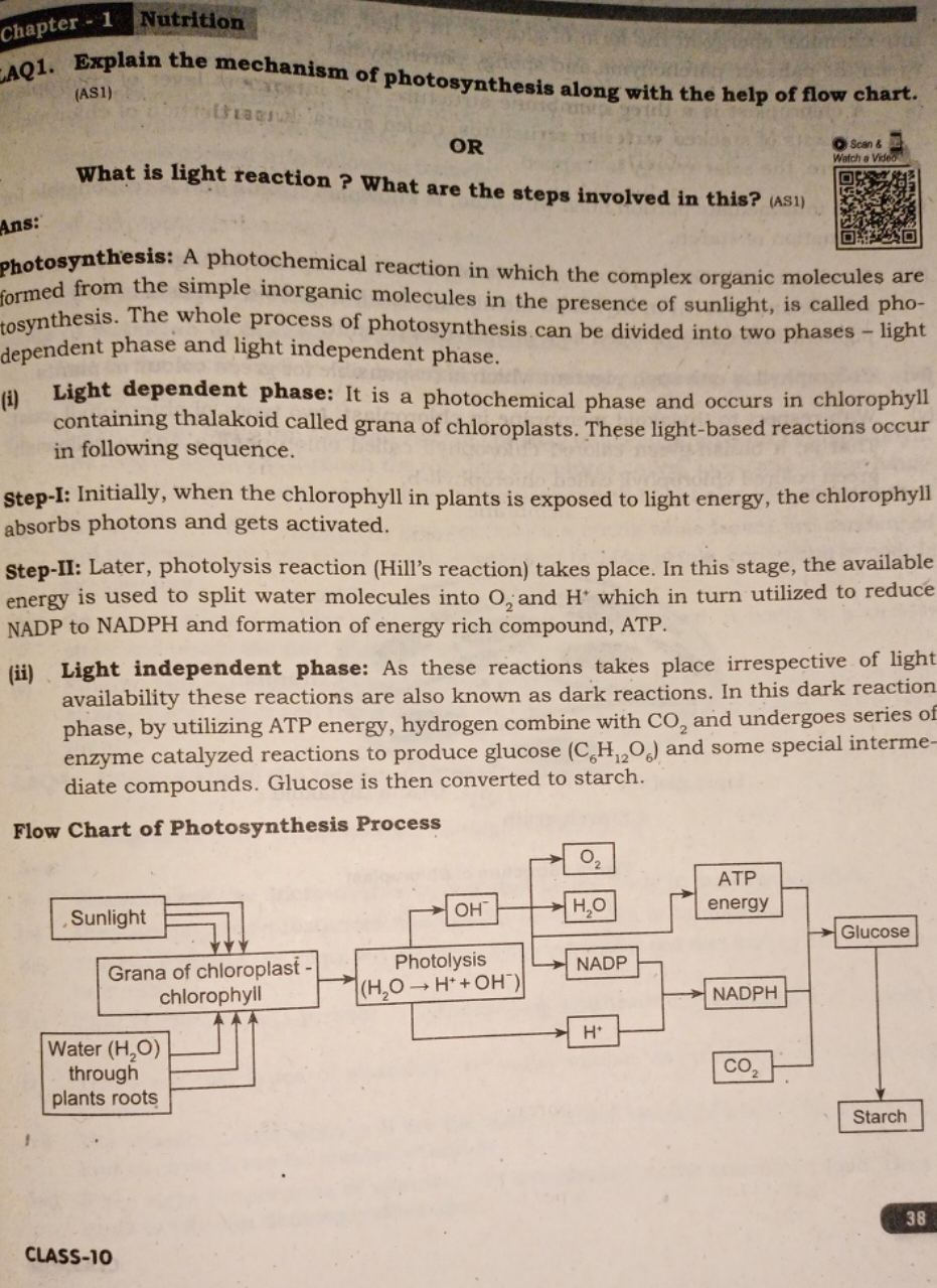 chapter - 1
Nutrition
AQ1. Explain the mechanism of photosynthesis alo