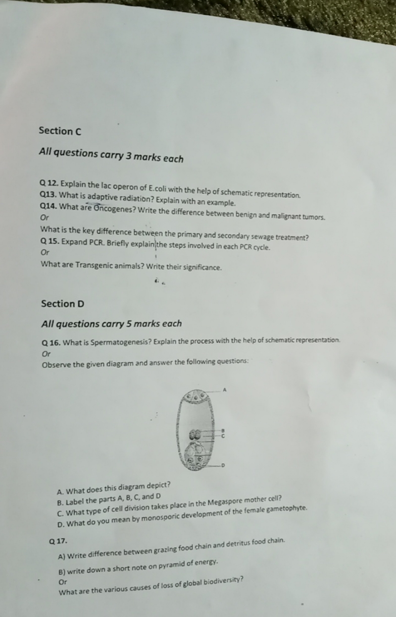 Section C All questions carry 3 marks each Q12. Explain the lac operon