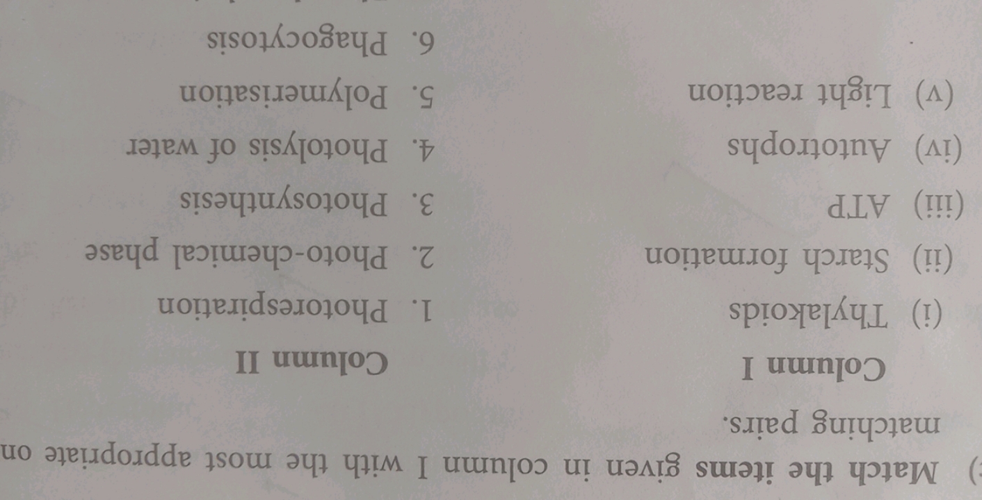 Match the items given in column I with the most appropriate on matchin