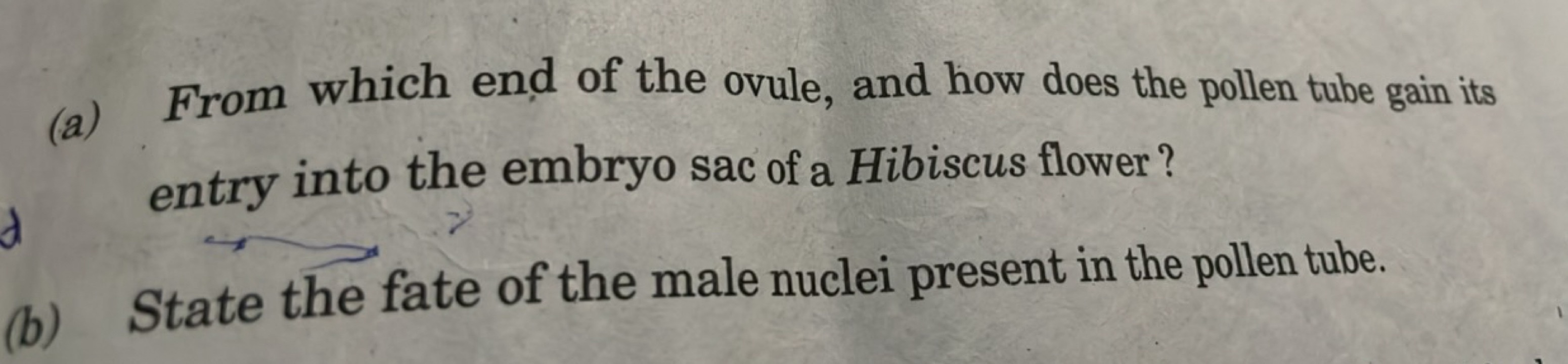 (a) From which end of the ovule, and how does the pollen tube gain its