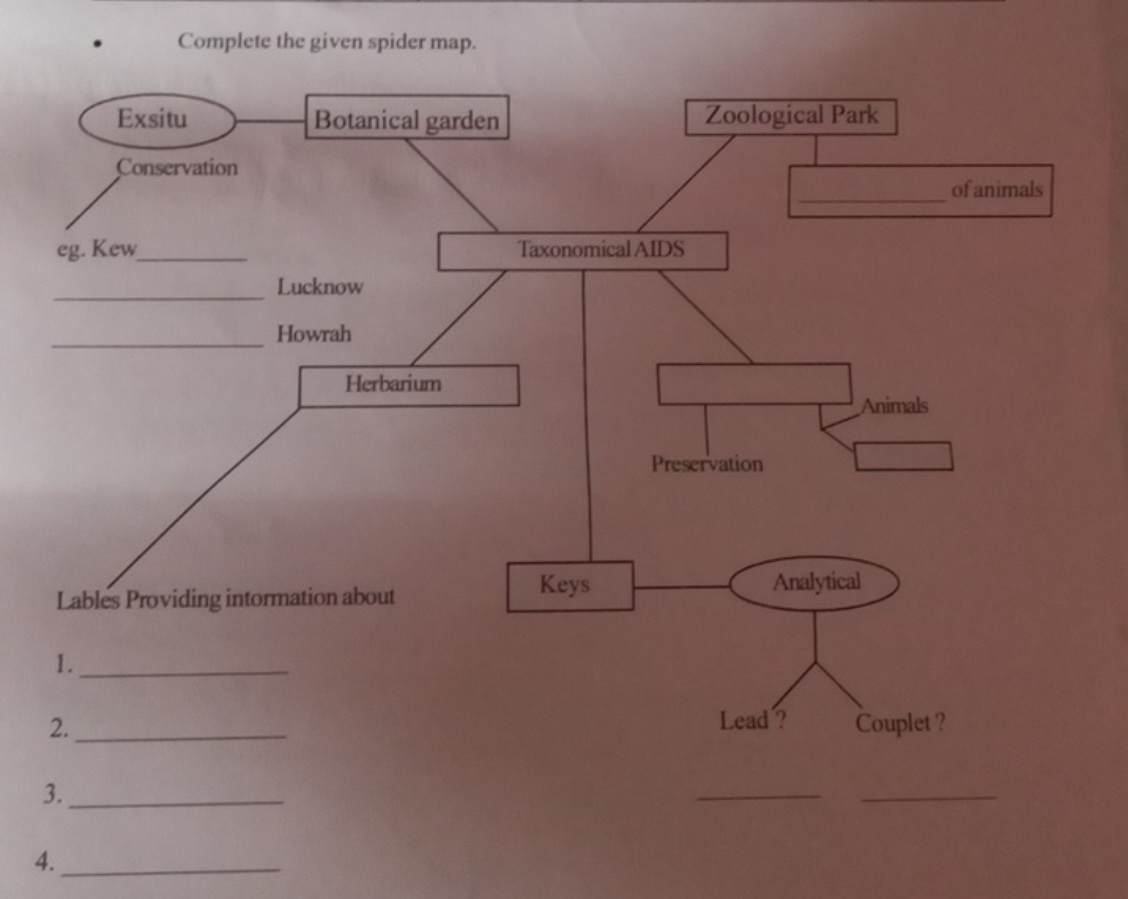 -  Complete the given spider map.
4.
