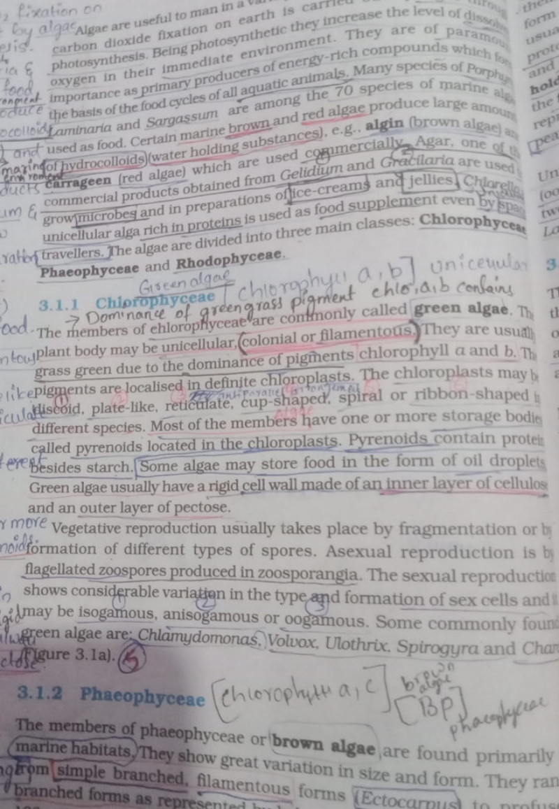 by algae Algae are useful to man in a carbon dioxide fixation on earth