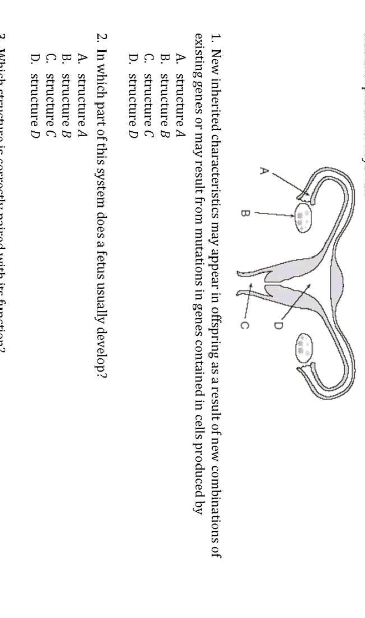 New inherited characteristics may appear in offspring as a result of n