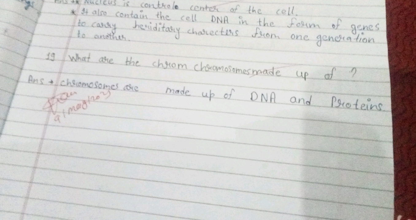 * It ats os is control o center of the cell.
* It also contain the cel