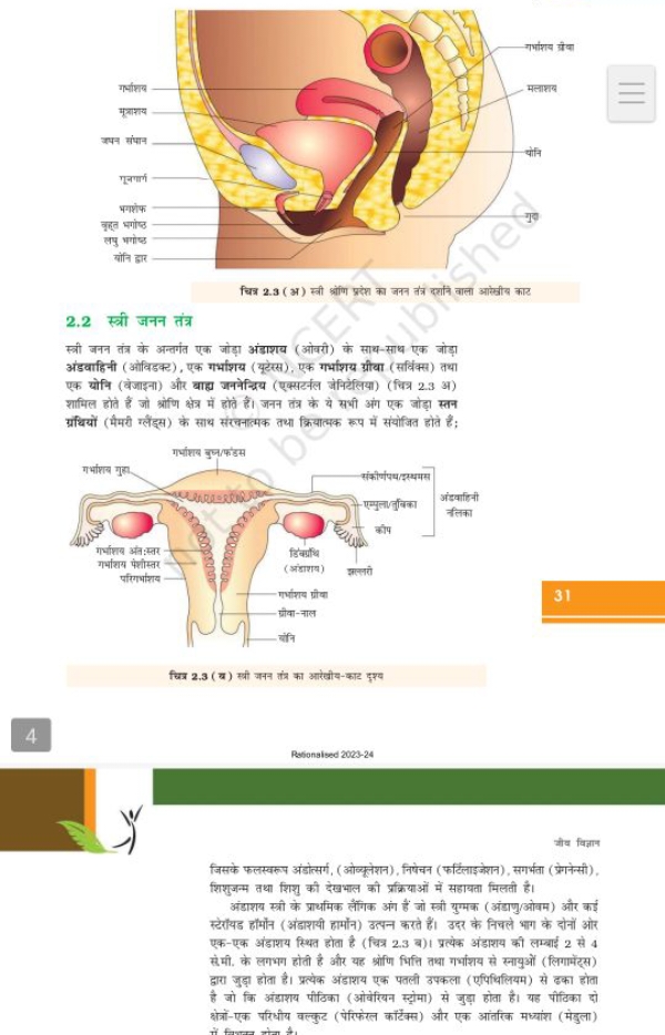 चित्र 2.3 (अ) स्वी कोंगि प्रंफे का जनन तंत्र दर्शाने वाला आरेखीय काट
2