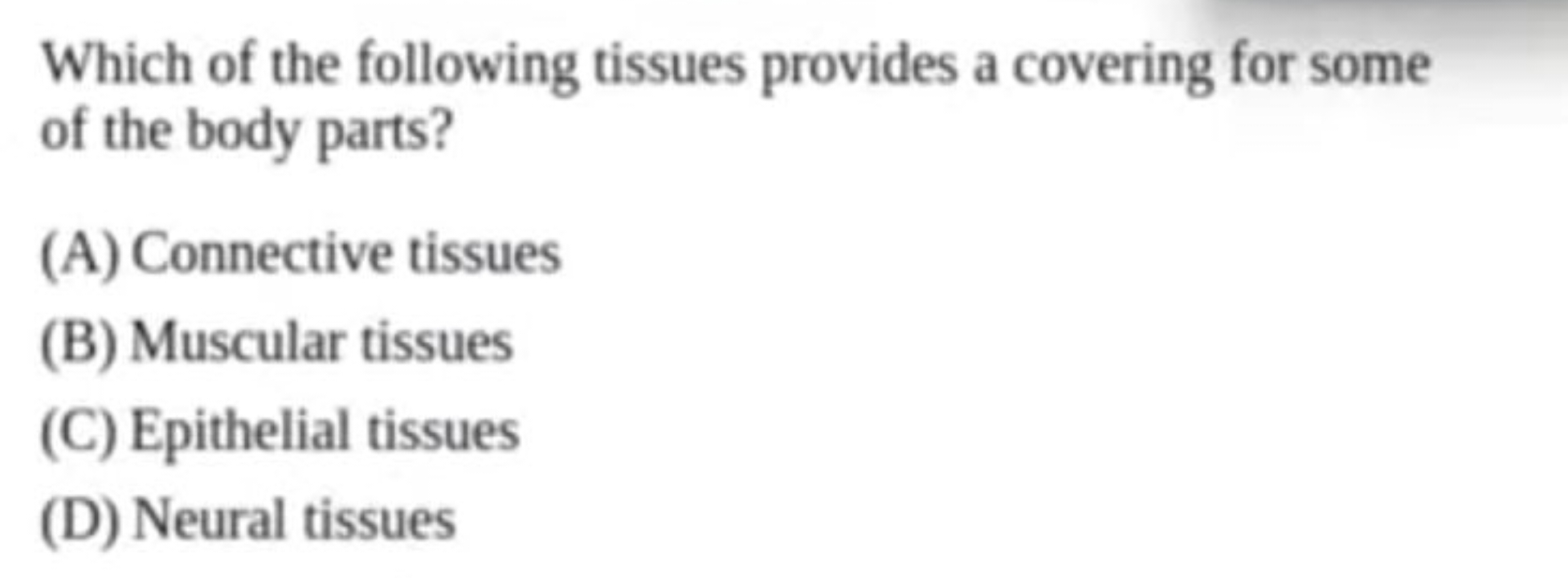 Which of the following tissues provides a covering for some of the bod