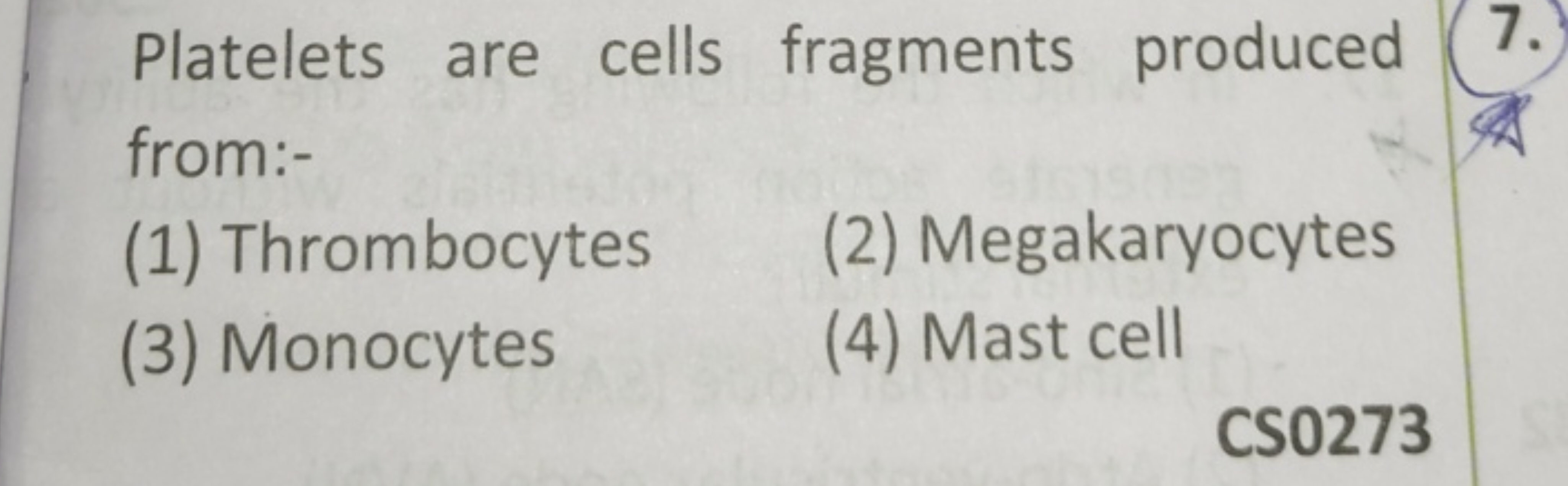 Platelets are cells fragments produced from:-