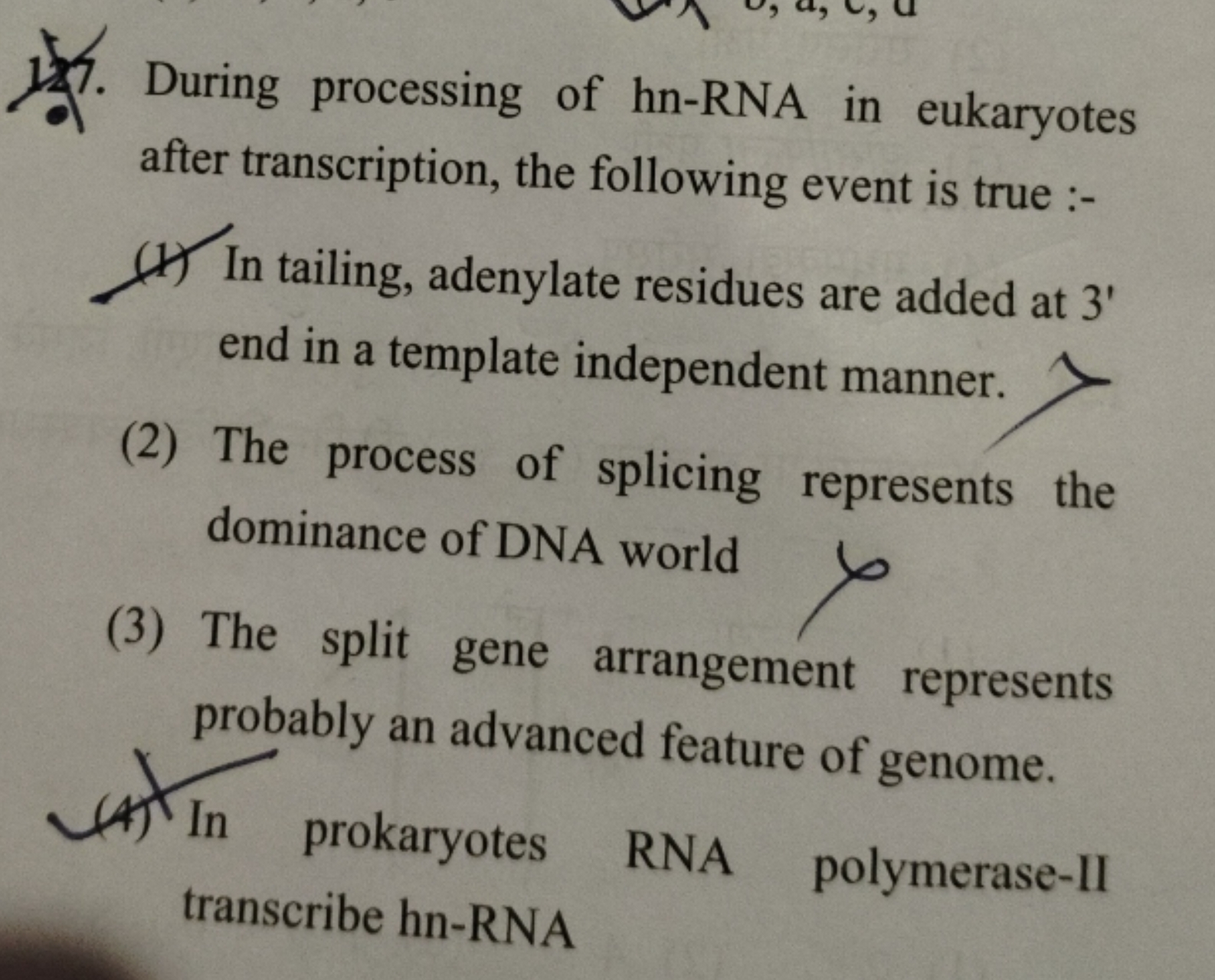 During processing of hn-RNA in eukaryotes after transcription, the fol