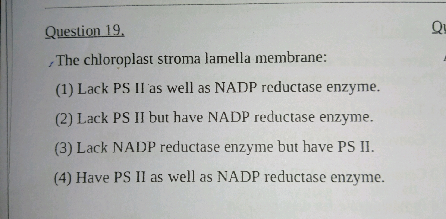 Question 19. The chloroplast stroma lamella membrane: