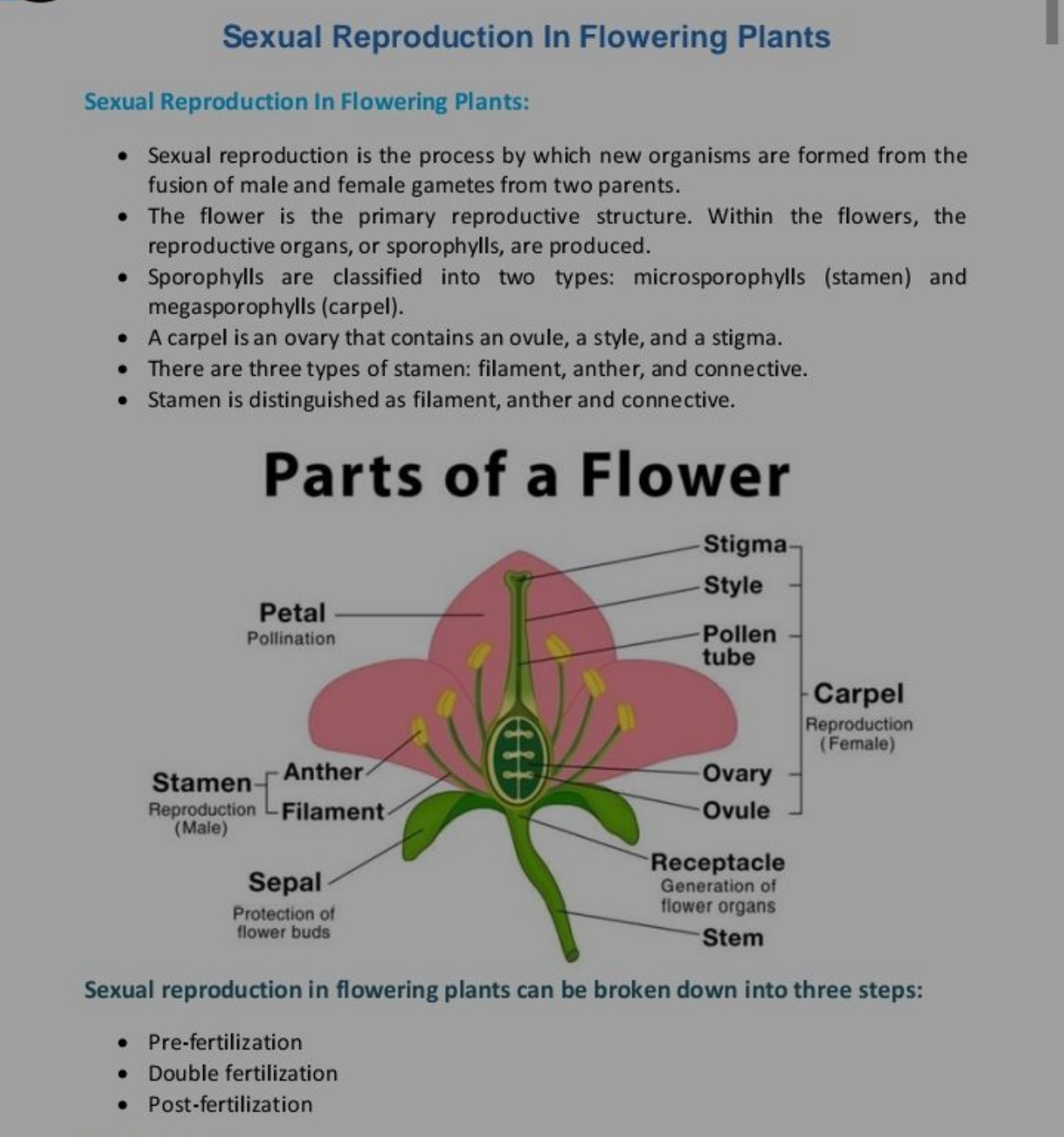 Sexual Reproduction In Flowering Plants
Sexual Reproduction In Floweri