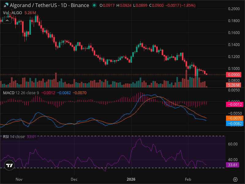ALGO's Critical Juncture: Why This Week Could Define Its Future
