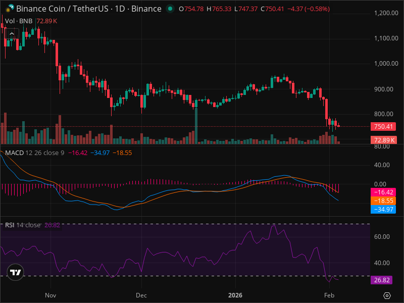 BNB at Critical Level: Why This Week Matters