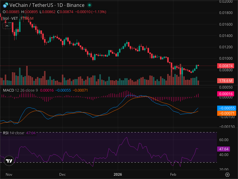 VET's Pullback Creates Rare Entry Point - Technical Analysis
