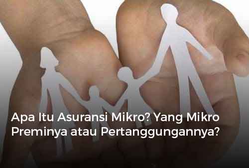 Apa Itu Asuransi Mikro Yang Mikro Preminya atau Pertanggungannya