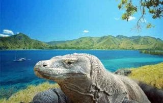 Rencanakan Dana Liburan untuk Melihat Keindahan Pulau Komodo (Hemat dan Murah) 01 - Finansialku