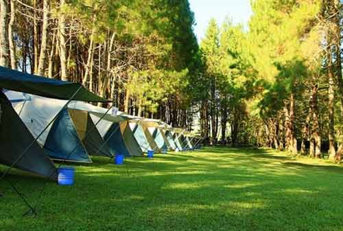 33-Wisata-Lembang-Bandung-13.-Pine-Forest-Camp