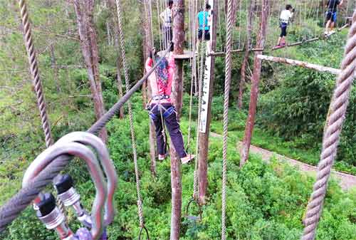 33-Wisata-Lembang-Bandung-24.-Bandung-Treetop-Adventure-Park