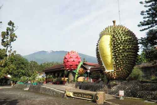 Wisata Bogor - 32 Warso Farm - httpsgoo.glUNiCFf - Wisata Bogor - 32 Warso Farm - httpsgoo.glUNiCFf -