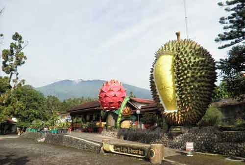 Wisata Bogor - 32 Warso Farm - httpsgoo.glUNiCFf -