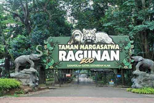 Wisata Jakarta - #18 Kebun Binatang Ragunan - Finansialku