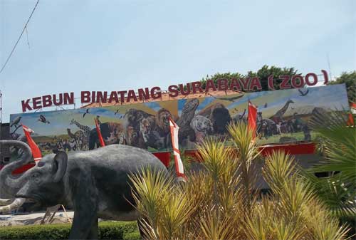 Tempat Wisata Surabaya - Bonbin Surabaya