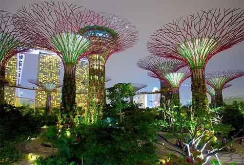 Tempat Wisata di Singapura 31 Gardens by The Bay - Finansialku