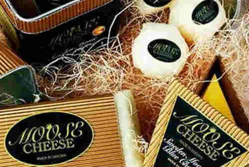 10 Keju Termahal di Dunia 03 Moose Cheese - Finansialku