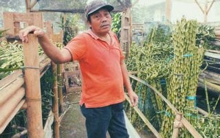 Harmoni Di Balik Kesuksesan Bisnis Lucky Bamboo Sukabumi 01 - Finansialku