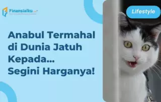 10 Ras Kucing Termahal di Dunia, Anabul Kamu Salah Satunya?