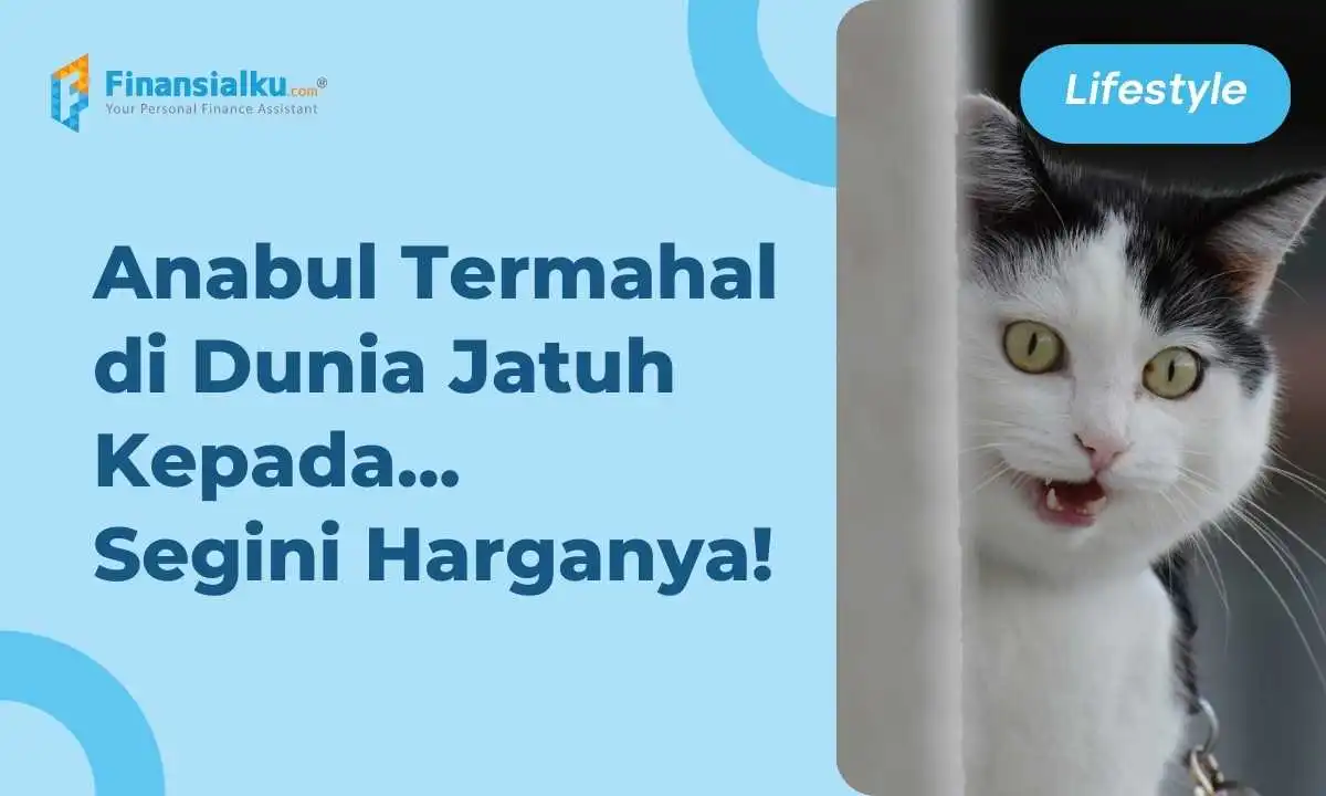 10 Ras Kucing Termahal di Dunia, Anabul Kamu Salah Satunya?