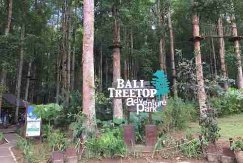 Tempat Wisata Bedugul Bali 09 Taman Wisata Bali Treetop - Finansialku