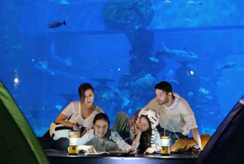 Semua Hal yang Perlu Kamu Tahu Tentang Jakarta Aquarium, Cek Harga Tiketnya! 10 - Finansialku