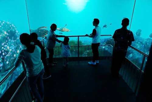 Semua Hal yang Perlu Kamu Tahu Tentang Jakarta Aquarium, Cek Harga Tiketnya! 07 - Finansialku